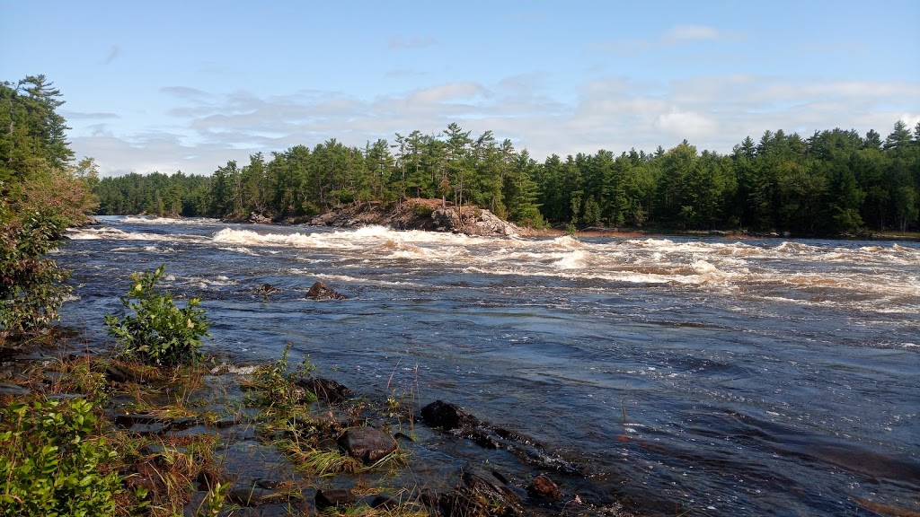 Ottawa River Provincial Park | Grants Settlement Rd, Foresters Falls, ON, Canada | Phone: (613) 757-2103