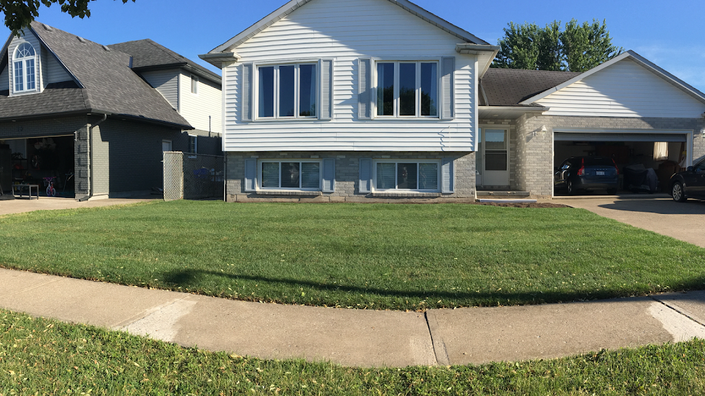 Team Green Lawn Care | 1403 Kottmeier Rd, Welland, ON L3B 5N5, Canada | Phone: (905) 321-4648
