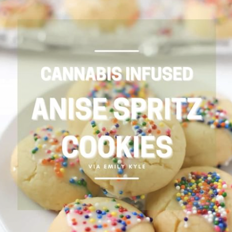 Grass Hut Cannabis Co. | 1023 King St W, Hamilton, ON L8S 1L3, Canada | Phone: (905) 528-8955