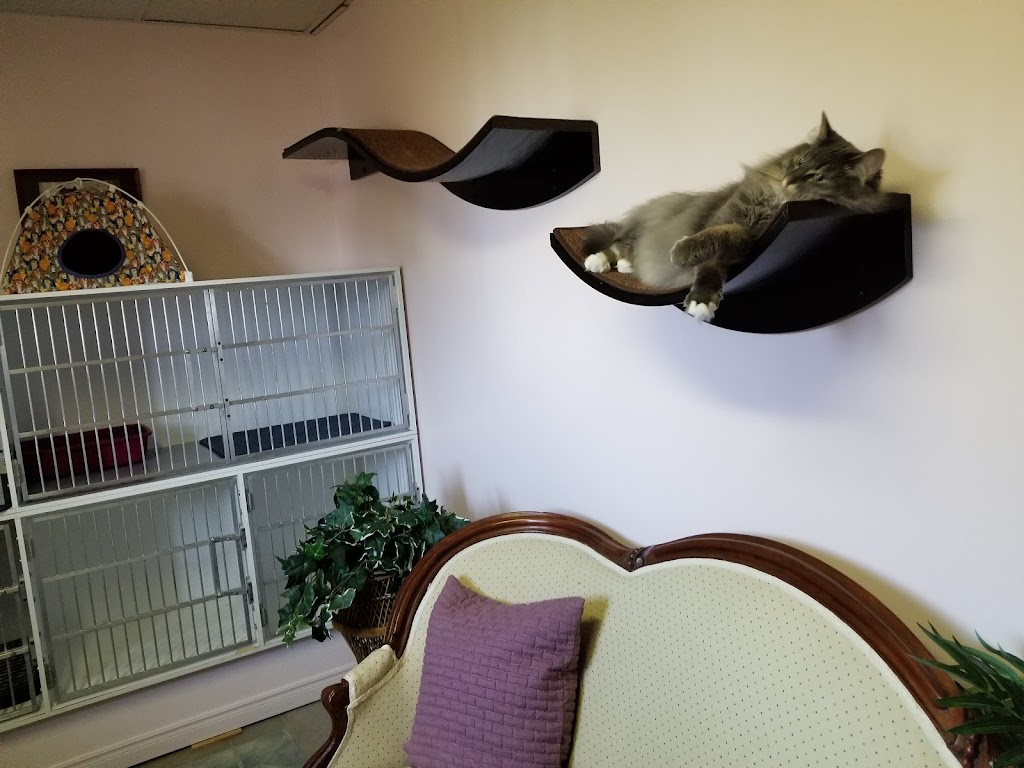 Paw Prints Pet Boarding | 2290 County Rd 10, Picton, ON K0K 2T0, Canada | Phone: (613) 476-1218
