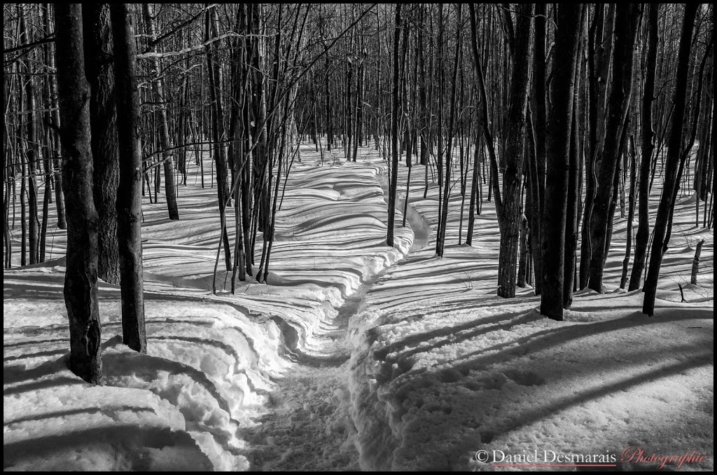 Aire écologique du ruisseau Lachapelle | 215 Boulevard des Estacades, Trois-Rivières, QC G8W 1P5, Canada