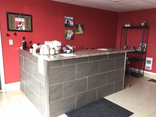 The Posh Pooch | 17 Myrtle St, Stratford, PE C1B 1P4, Canada | Phone: (902) 566-1287