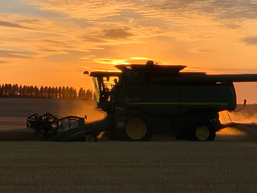 3D Malt Ltd. | 46078, Range Rd 215, New Norway, AB T0B 3L0, Canada | Phone: (780) 608-6618