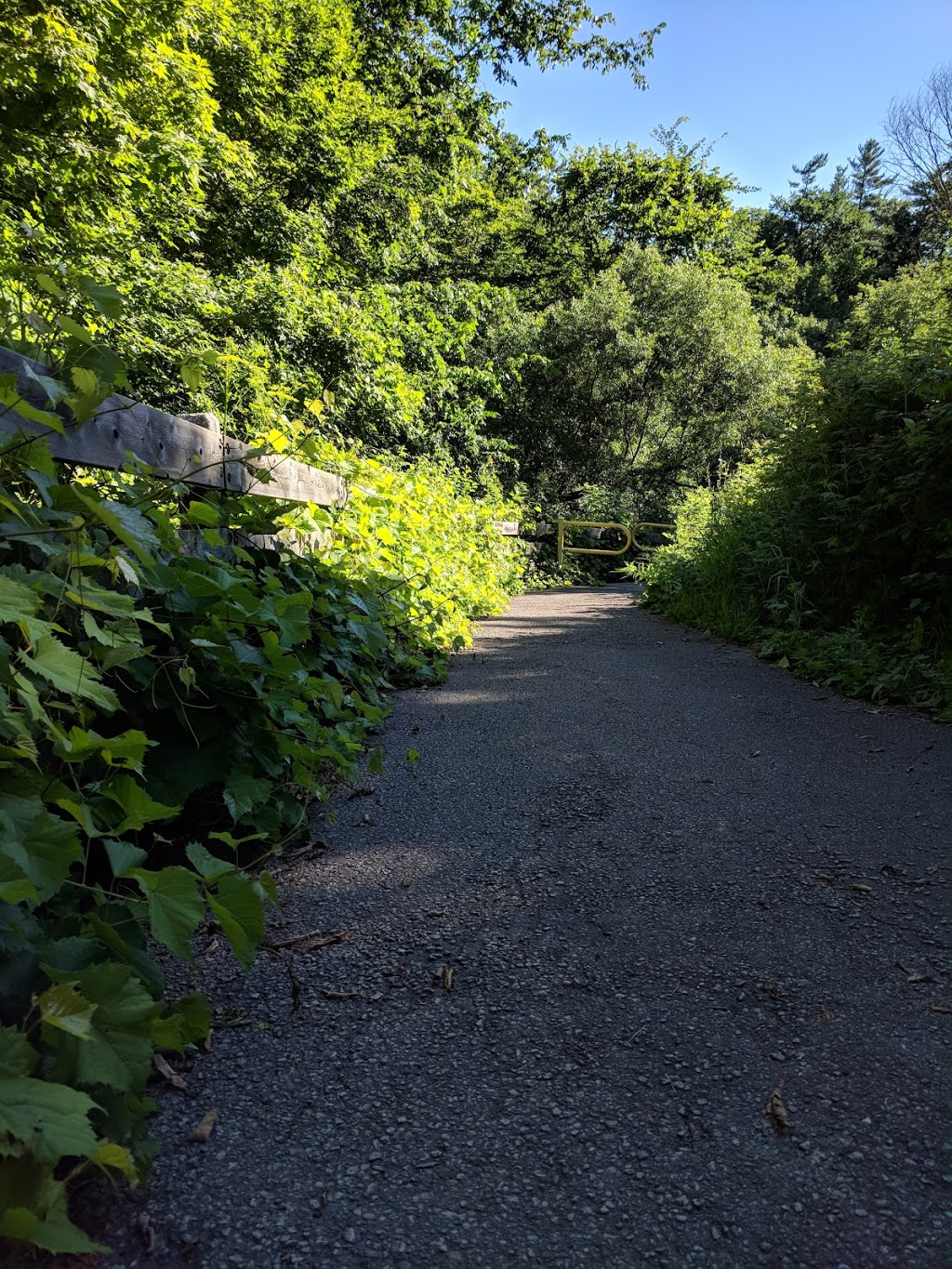 Laurelwood Park | 420 Hedgerow Ln, Oakville, ON L6H 4V6, Canada
