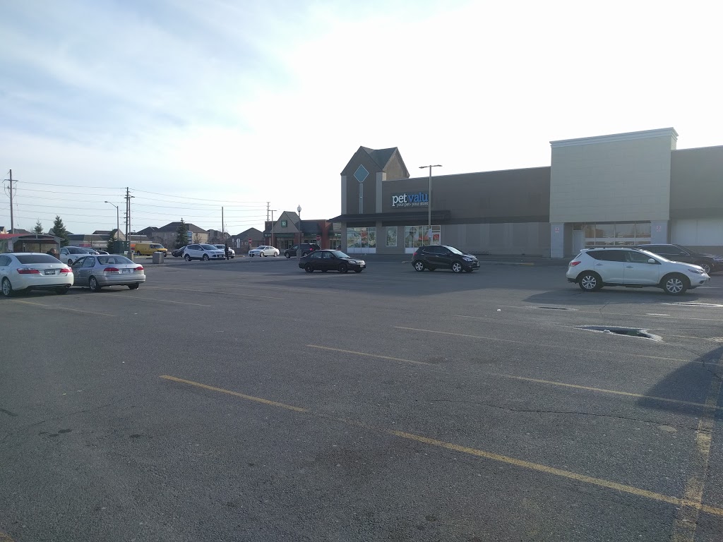Pet Valu | 9200 Weston Rd, Woodbridge, ON L4H 2P8, Canada | Phone: (905) 832-4939