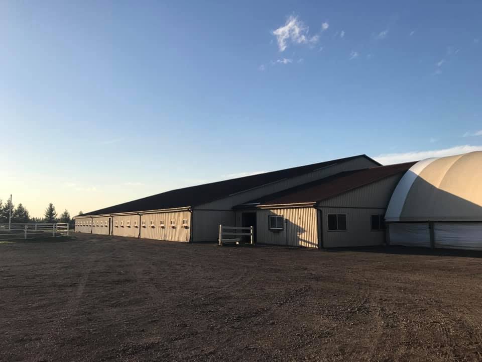 Grassroots Equestrian | 6119 Mandaumin Rd, Camlachie, ON N0N 1E0, Canada | Phone: (519) 381-1709