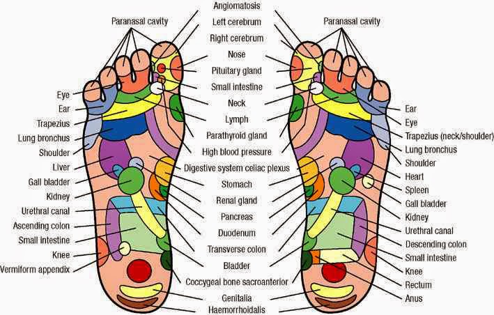 Kingsbridge Physiotherapy Centre | 20 Kingsbridge Garden Cir Unit B2, Mississauga, ON L5R 3K7, Canada | Phone: (905) 507-4215