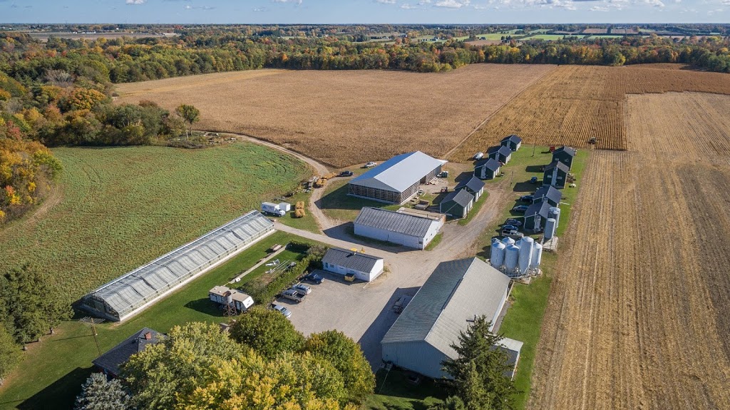 Ralph Moore & Sons | 245654 Milldale Rd, Otterville, ON N0J 1R0, Canada | Phone: (519) 879-6588