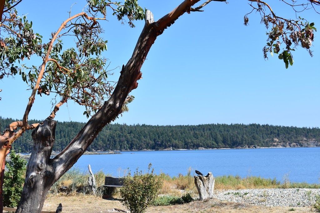 Snaw Naw As Campground | 101 Snaw-Naw-As Road, Lantzville, BC V0R 2H0, Canada | Phone: (250) 933-2505