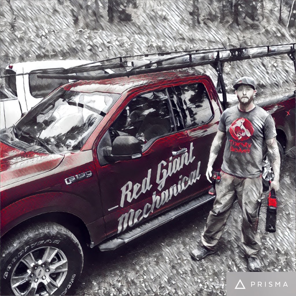 Red Giant Mechanical | 445 Banks Rd, Kelowna, BC V1X 6A2, Canada | Phone: (250) 575-2332