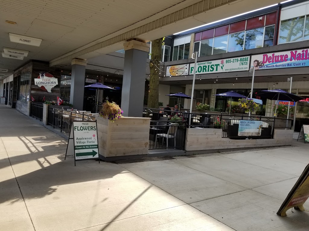 Applewood Village Plaza | 1077 N Service Rd, Mississauga, ON L4Y 1A6, Canada | Phone: (905) 528-8956 ext. 4146