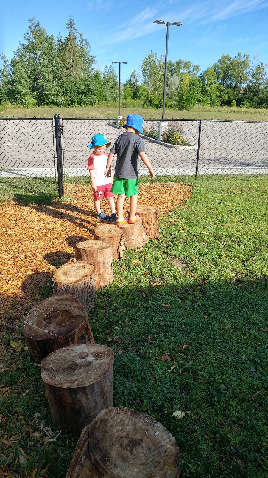 Terry Fox Montessori | 1051 Eglinton Ave W, Mississauga, ON L5V 2W3, Canada | Phone: (416) 557-3396