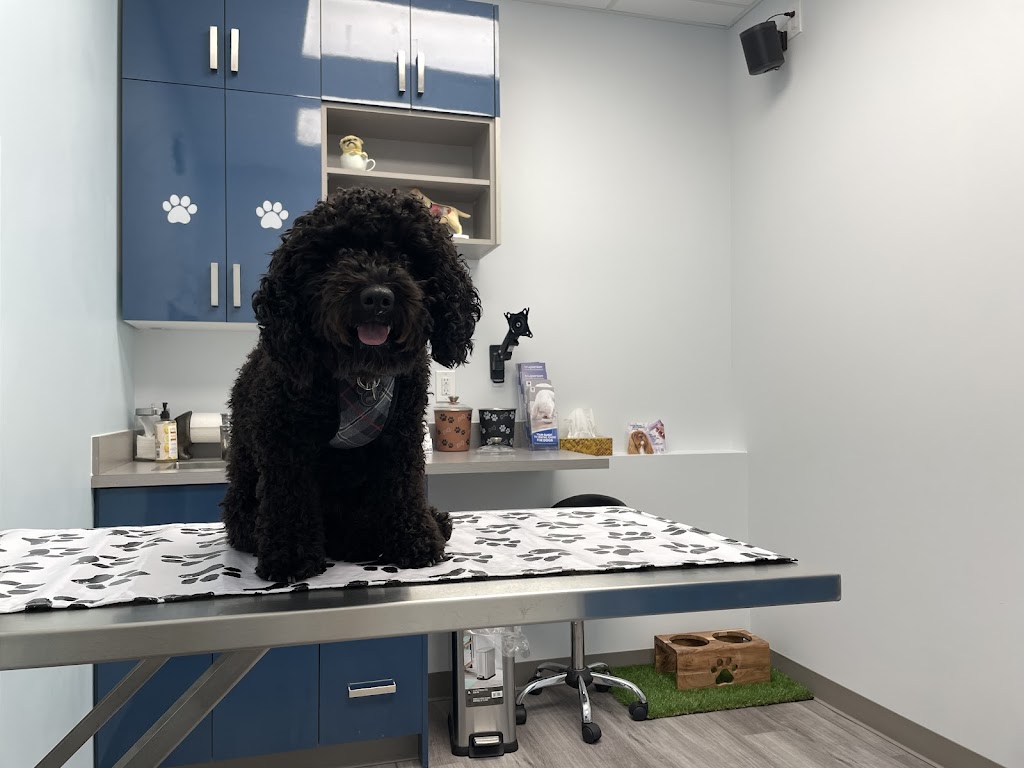 Ambleside Veterinary Hospital | 16412 Ellerslie Rd SW, Edmonton, AB T6W 4S8, Canada | Phone: (780) 433-0300