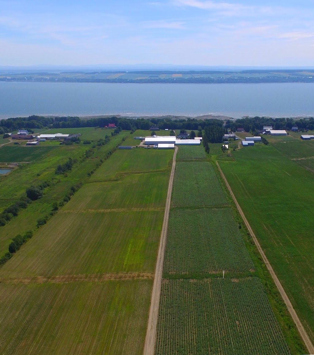 Ferme Valupierre | 6080 Chem. Royal, Saint-Laurent-de-lÎle-dOrléans, QC G0A 3Z0, Canada | Phone: (418) 829-3033