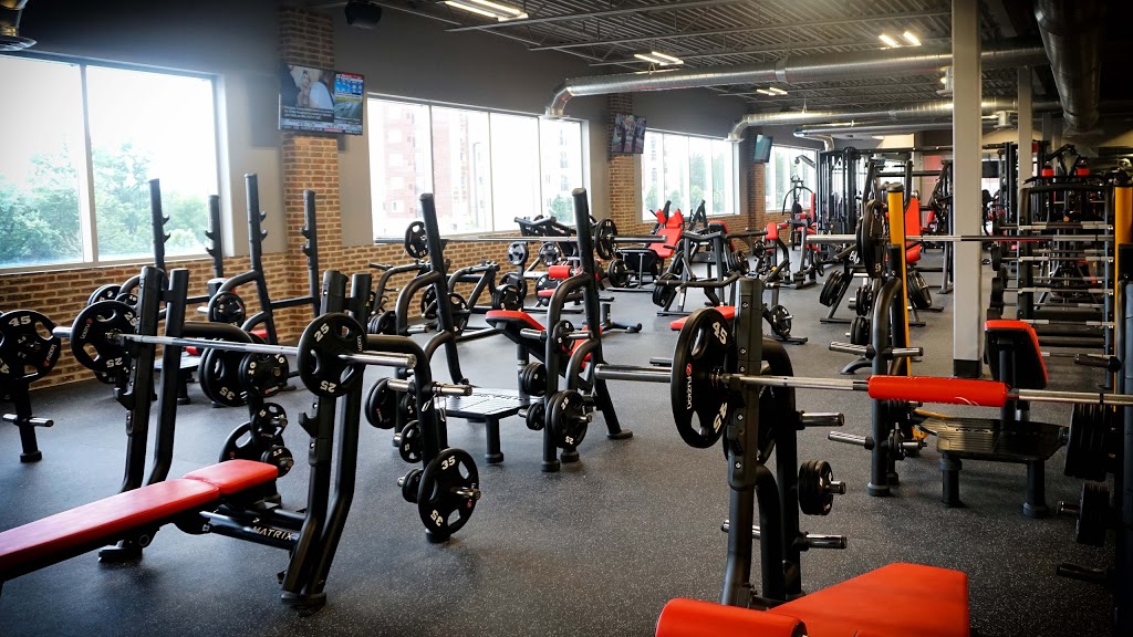 Fuzion Fitness | 20 Polonia Ave Unit 201, Brampton, ON L6Y 0K9, Canada | Phone: (905) 455-1770