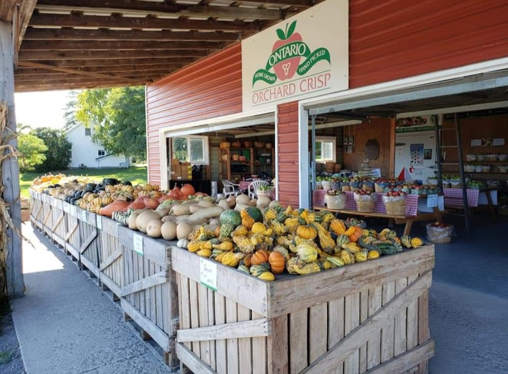 Creasys Apple Dabble Family Farm | 3091 County Rd 8, Prince Edward, ON K0K 2T0, Canada | Phone: (613) 476-5142