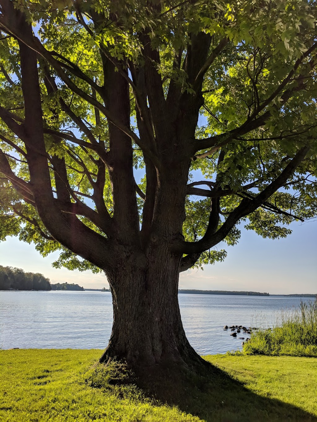 Hanna Park | 27 Water St, Portland, ON K0G 1V0, Canada