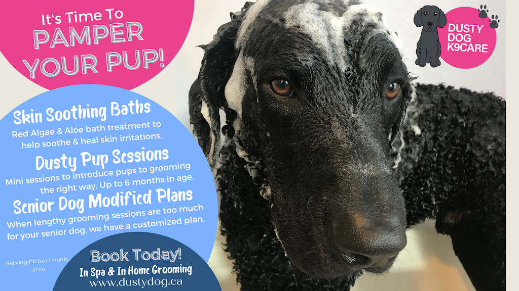 Dusty Dog K9Care | 170 Foxbrook Rd, Hopewell, NS B0K 1C0, Canada | Phone: (902) 921-3815