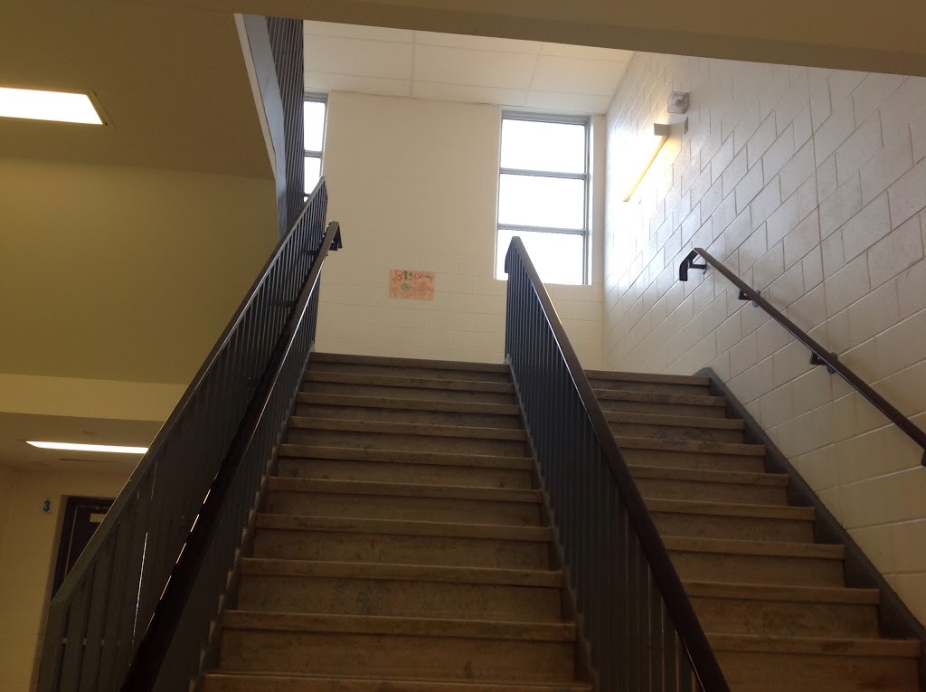 McKinnon Public School | 3270 Tacc Dr, Mississauga, ON L5M 0H3, Canada | Phone: (905) 812-2544