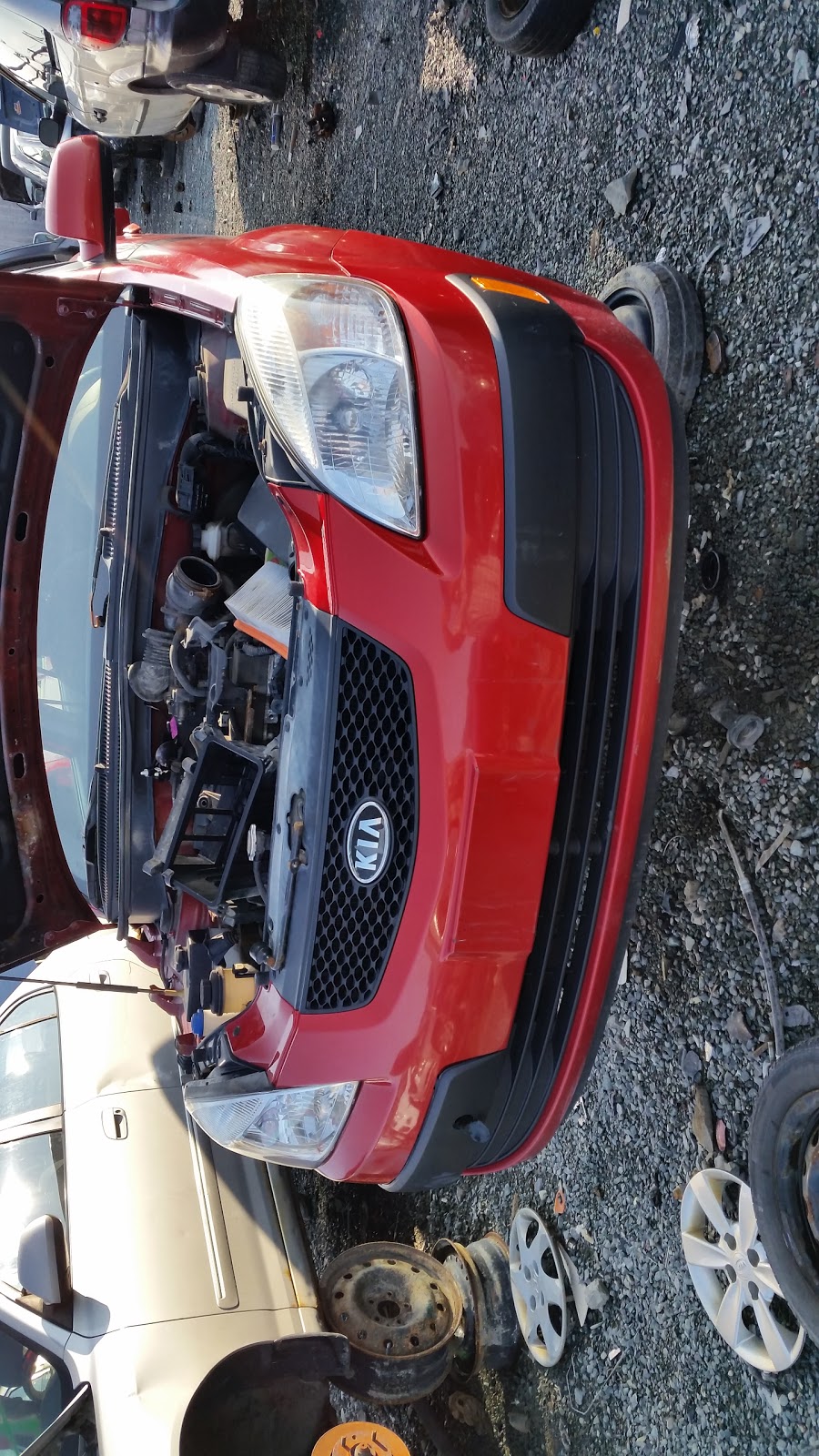 Auto Parts Network 6 Corey King Dr, Mount Pearl, NL A1N 0A2, Canada