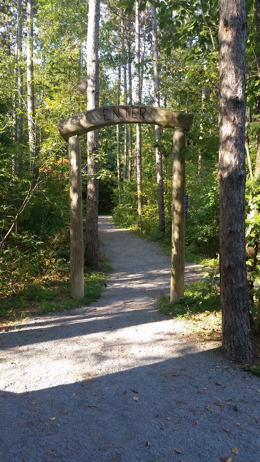Carstairs Tract, Northumberland County Forest | 1270-1296 Bowmanton Rd, Roseneath, ON K0K 2X0, Canada | Phone: (905) 372-3329 ext. 2303