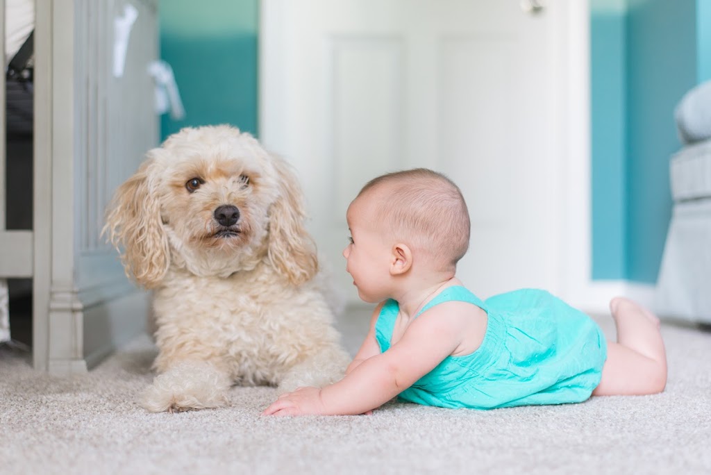Set For Baby | 10129 171A St, Surrey, BC V4N 3L3, Canada | Phone: (604) 720-3276