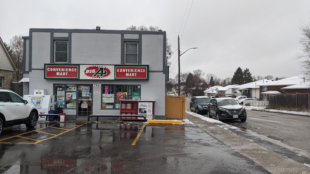 Big A Convenience Store | convenience store | 794 London Rd, Sarnia, ON N7T 4Y1, Canada | 5193445876 OR +1 519-344-5876