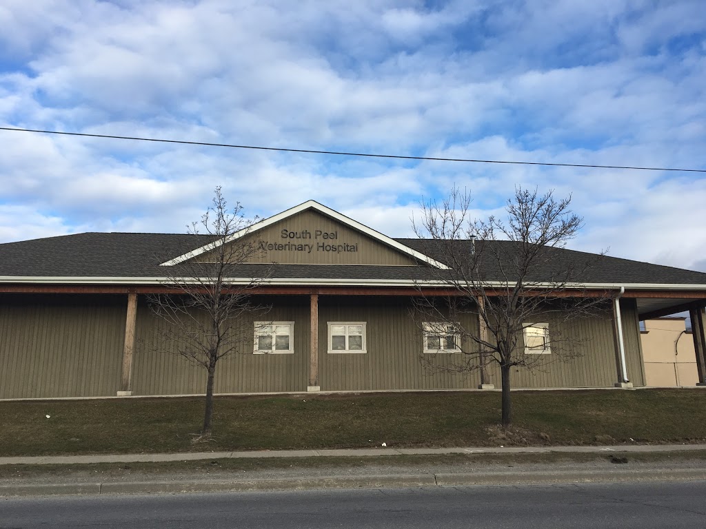 South Peel Veterinary Hospital | 3484 Mavis Rd, Mississauga, ON L5C 1T8, Canada | Phone: (905) 277-4500