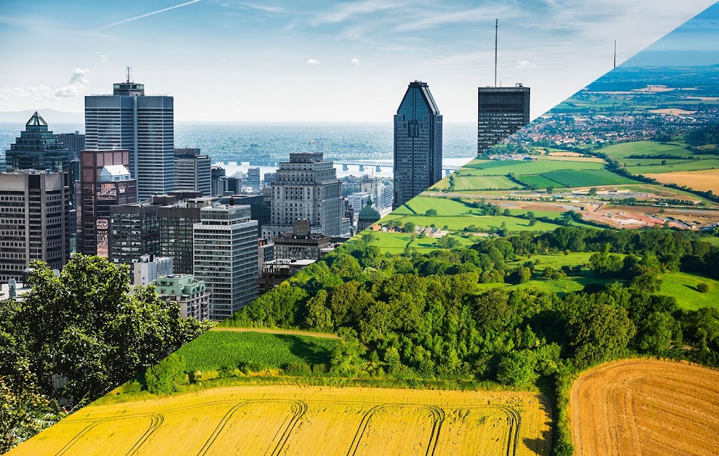 Michel Robichaud agence immobilière Ville et Campagne | 604 Chem. des Patriotes, Saint-Denis-sur-Richelieu, QC J0H 1K0, Canada | Phone: (450) 787-2305