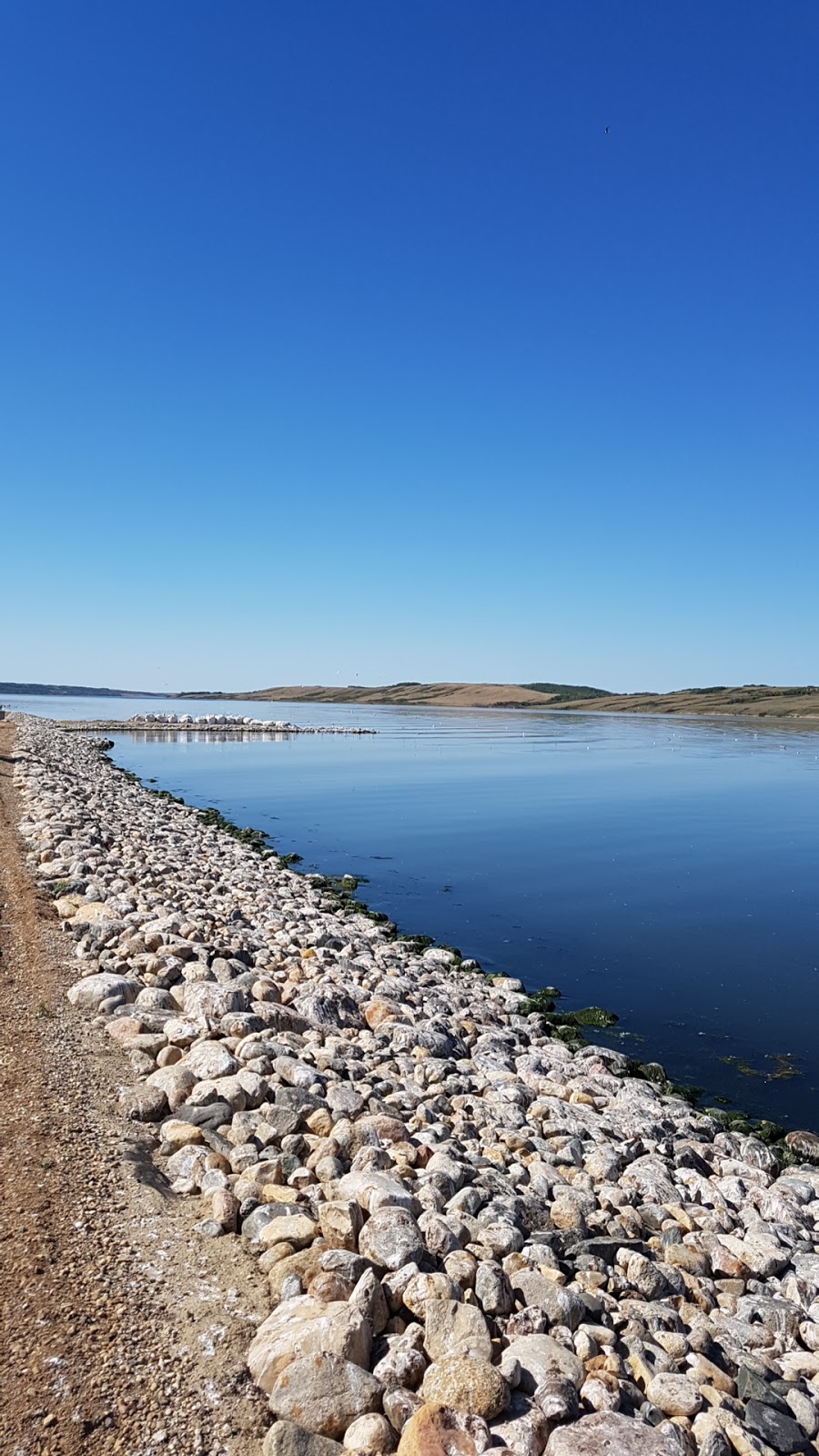 SaskAbilities - Camp Easter Seal | 1 Easter Seal Way, Manitou Beach, SK S0K 4T1, Canada | Phone: (306) 664-7203