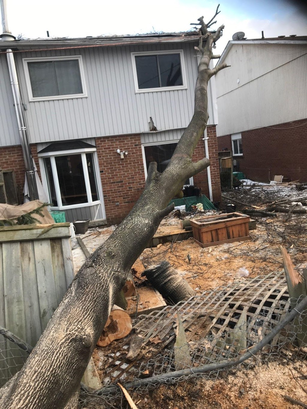 Tobys Tree Service | 81 McVeigh Dr, Barrie, ON L4N 7E4, Canada | Phone: (705) 791-6052