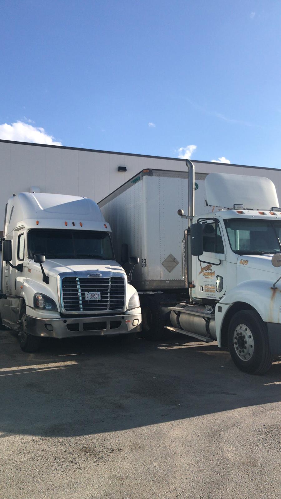 Leopard Transport Ltd | 572 Aero Dr NE unit # 133, Calgary, AB T2E 7Y4, Canada | Phone: (587) 535-7133