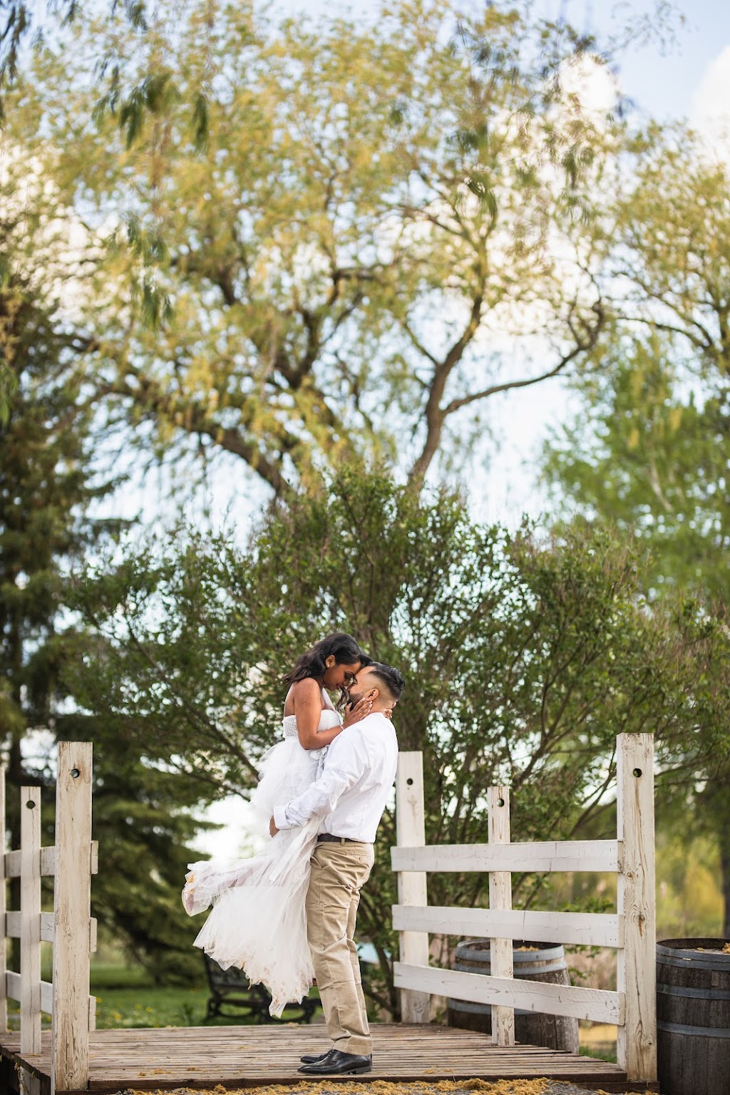 Tom Wang Photography | Reynolds Cres, Aurora, ON L4G 0J1, Canada | Phone: (416) 727-6068