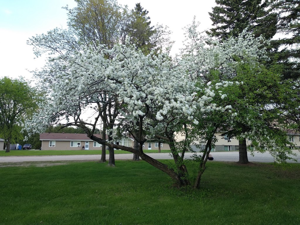 K.R. Barkman Park | 510 Wilson St, Steinbach, MB R5G 1J9, Canada | Phone: (204) 346-6217