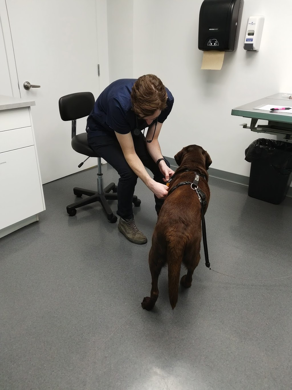 RAPS Animal Hospital | 13340 Smallwood Pl #205, Richmond, BC V6V 1W8, Canada | Phone: (604) 242-1666