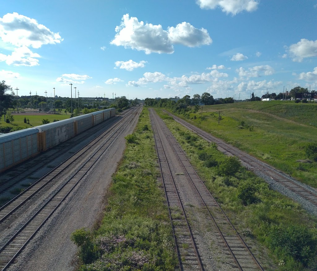 Peter Hallman Ball Yard | Alpine, Kitchener, ON N2C, Canada