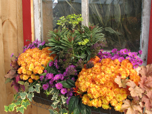 Brantim Country Garden Centre | 3994 Hamilton Side Rd, Almonte, ON K0A 1A0, Canada | Phone: (613) 256-4940