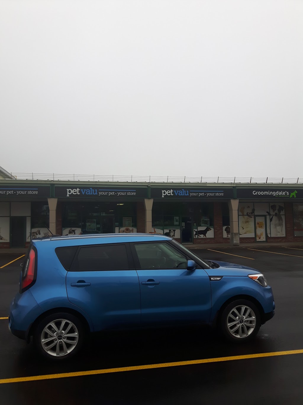 Pet Valu | 3714 Portage Rd, Niagara Falls, ON L2J 2K8, Canada | Phone: (905) 354-7444