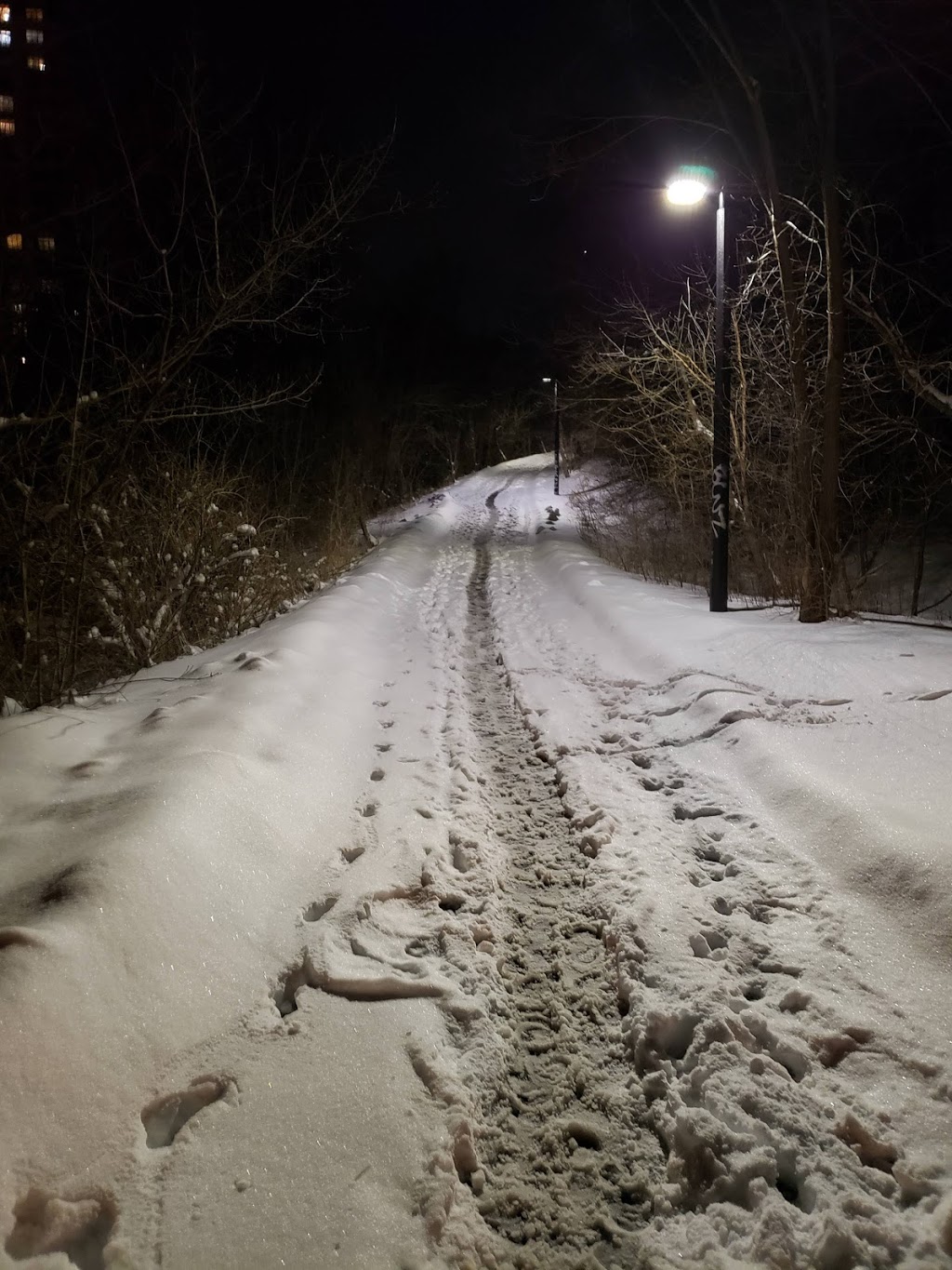 The Path | Unnamed Road, North York, ON M2J 1Y2, Canada