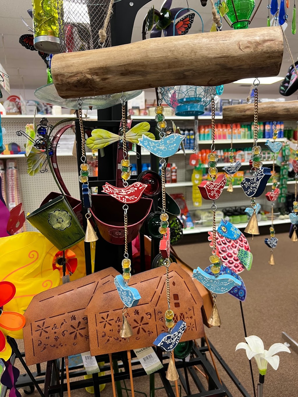 Castor Value Drug Mart | 5106 50 Ave, Castor, AB T0C 0X0, Canada | Phone: (403) 882-3055