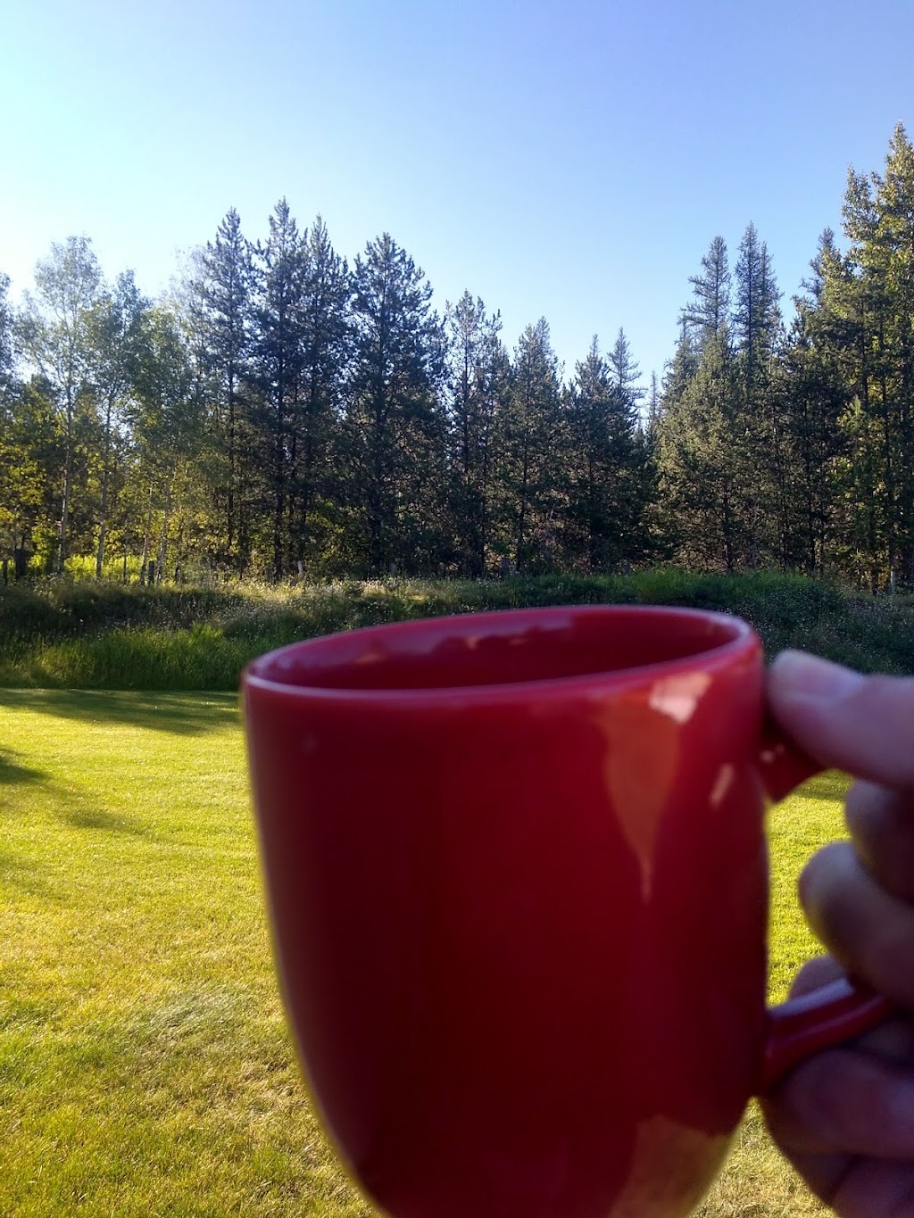 Disney Brook RV Park | 2218 British Columbia 3, Jaffray, BC V0B 1T0, Canada | Phone: (250) 919-4102