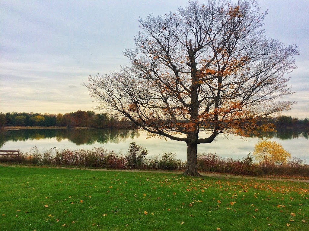 Binbrook Conservation Area Main Entrance | 5050 Harrison Rd, Binbrook, ON L0R 1C0, Canada | Phone: (905) 692-3228