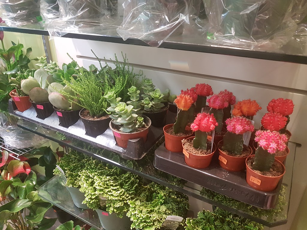 Flowers & Bubble Tea | 2301 Brimley Rd Unit 149, Scarborough, ON M1S 5B8, Canada | Phone: (647) 728-3168
