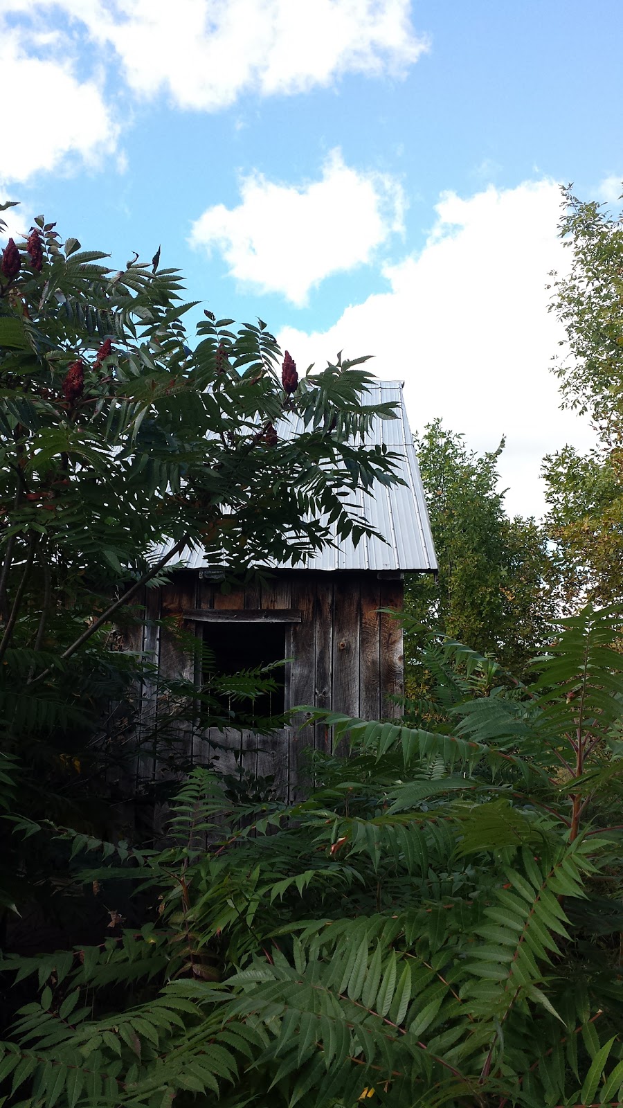 Parc national de Plaisance | 1001 Chemin de la Grande Presquîle, Plaisance, QC J0V 1S0, Canada | Phone: (800) 665-6527