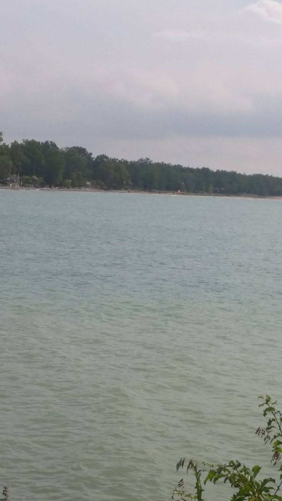 Timber Island | 3004 County Rd 12, Prince Edward, ON K0K 2T0, Canada | Phone: (613) 393-3319