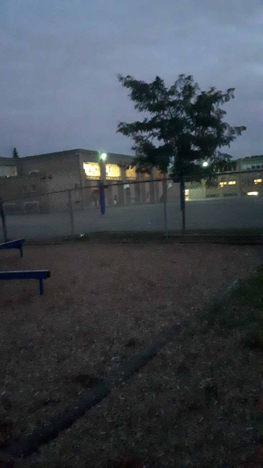 École Wilfrid-Pelletier | 8301 Boulevard Wilfrid Pelletier, Anjou, QC H1K 1M2, Canada | Phone: (514) 352-7300