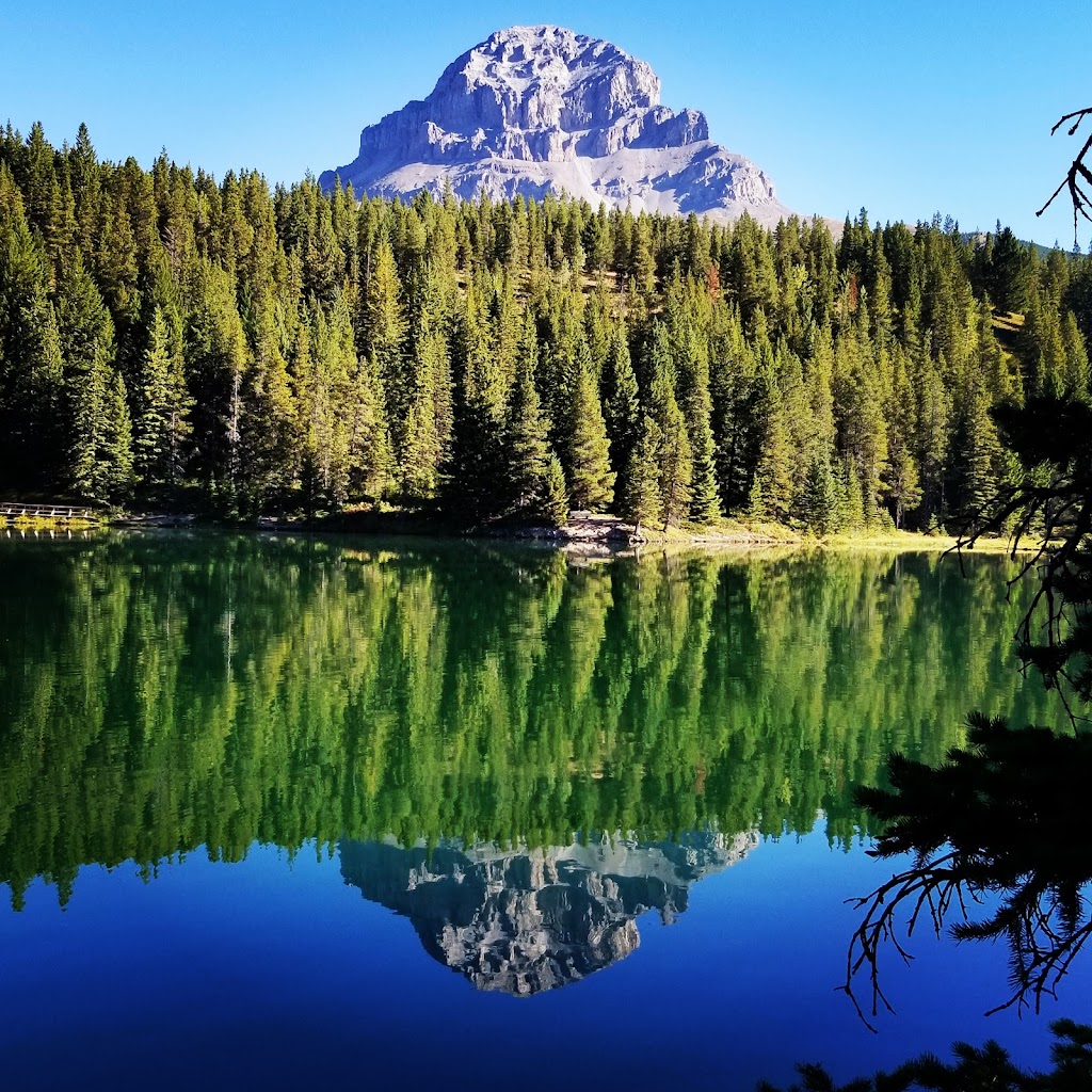 Health Hub Inc | 5914 22 Ave, Coleman, AB T0K 0M0, Canada | Phone: (403) 563-1045