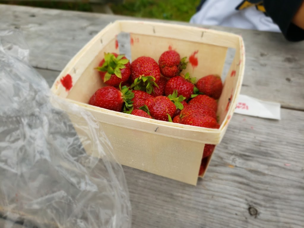 Sackville Farmers Market | 66 Main St, Sackville, NB E4L 4A7, Canada | Phone: (506) 536-7378