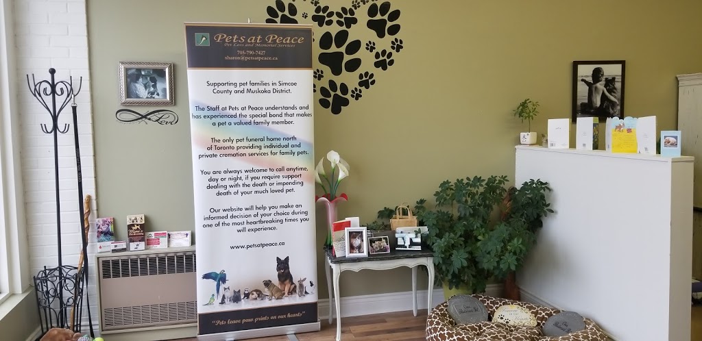 Pets at Peace - Simcoe County and Muskoka District | 335 Mississaga St W #4, Orillia, ON L3V 3C2, Canada | Phone: (705) 790-7427