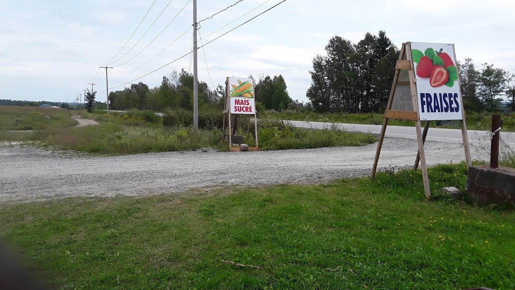 Au Vieux Silo | 459 Chemin de la Rivière, Magog, QC J1X 3W5, Canada | Phone: (819) 481-1859